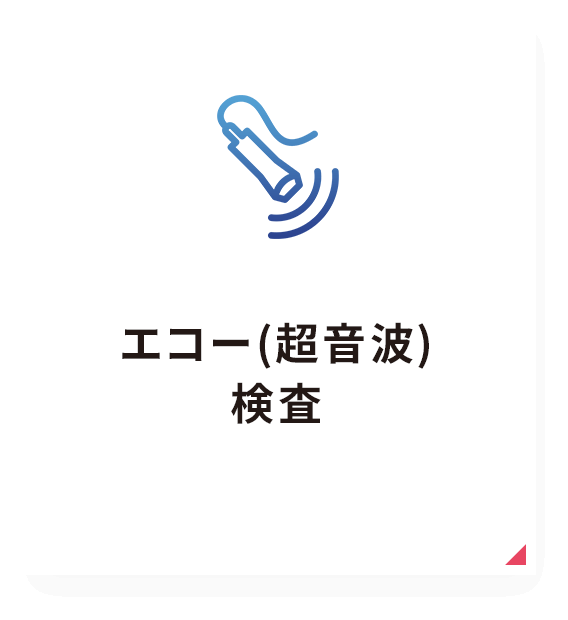 エコー(超音波)検査